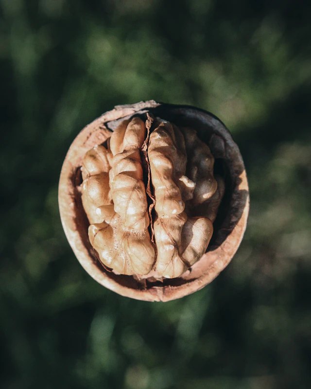 Memory and Neuro Health