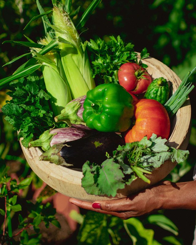 Wellness and Nutrition